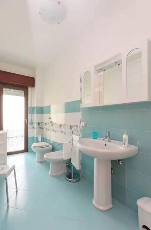 Ducha, secador de pelo, bidé y toallas