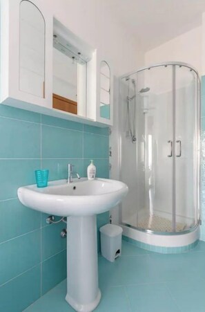 Shower, hair dryer, bidet, towels