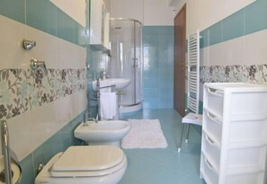 Shower, hair dryer, bidet, towels
