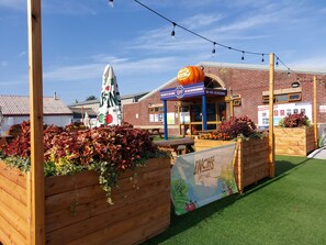 A brick building with a sign reading "Of Live Entertainment" and a pumpkin decoration.