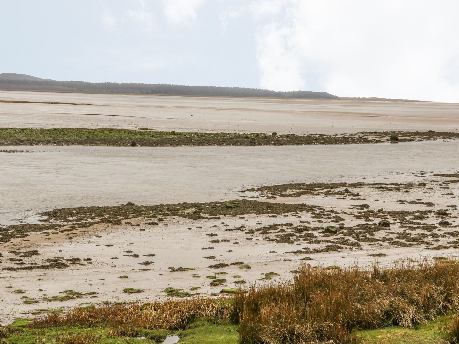 Un paysage côtier avec une vaste plage de sable, des amas d’algues et de hautes herbes au premier plan.