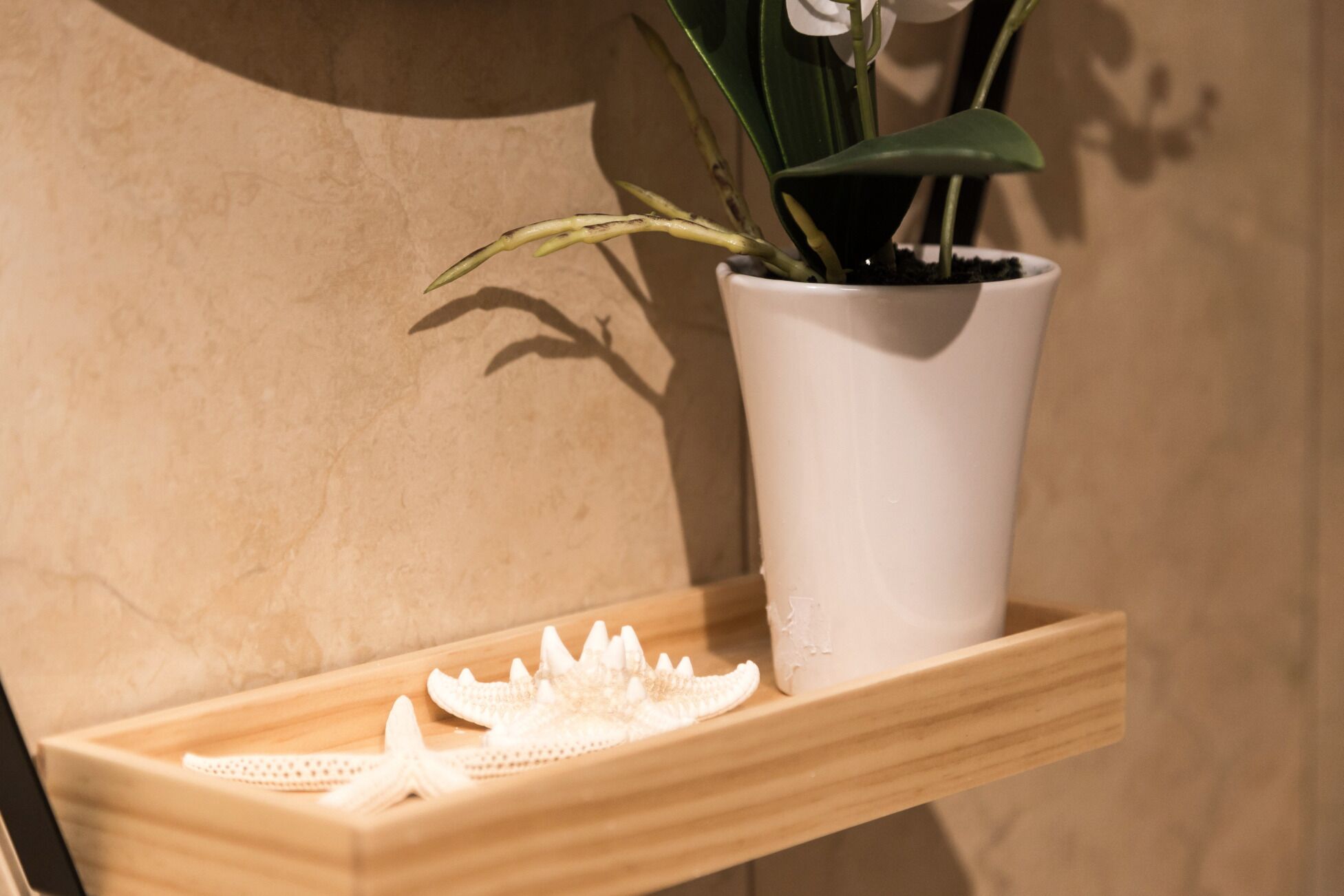 A potted plant on a wooden shelf against a wall.