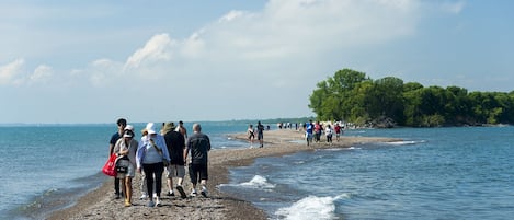 Beach nearby