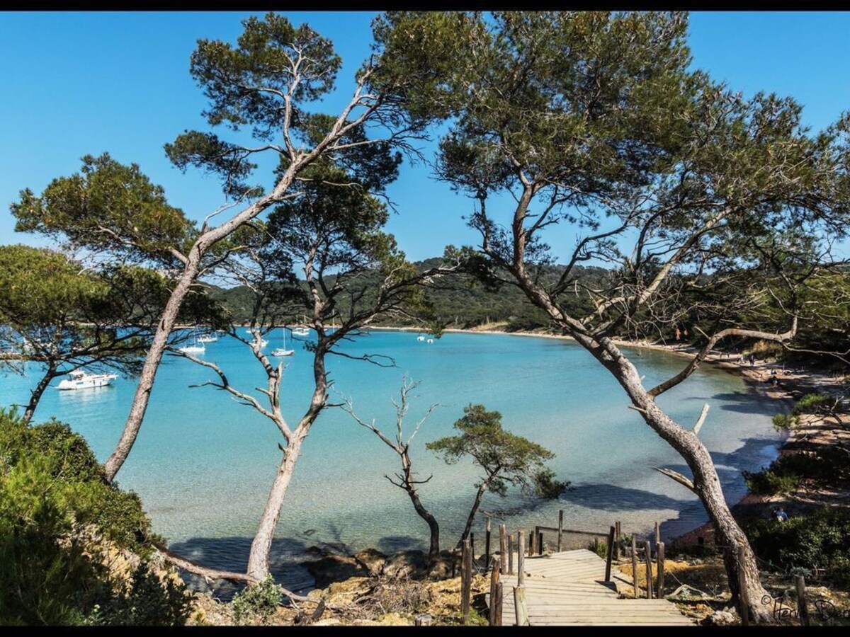 Image de profil de l’hôte