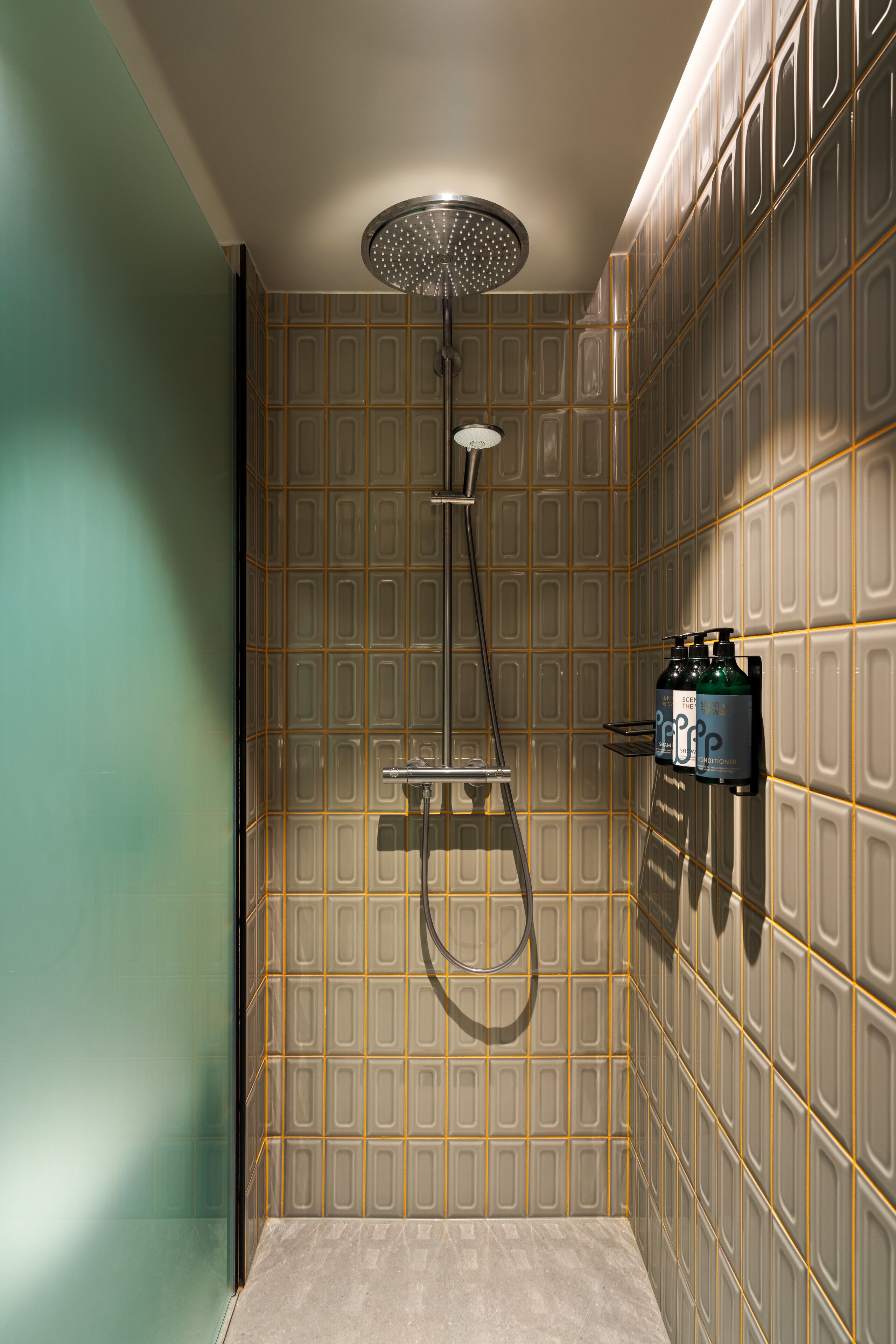 Een badkamer met een douche, een handdoekhouder en een zeepdispenser.