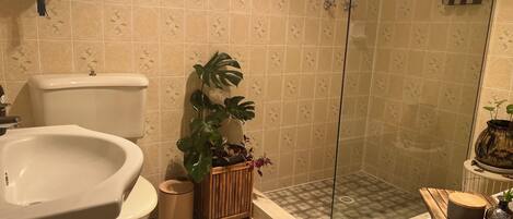 A bathroom with a toilet, bidet, and shower area.