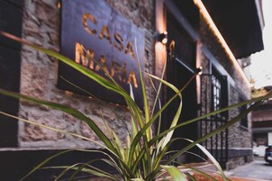 A building with a sign reading "CASA MARIA" and a plant in the foreground.