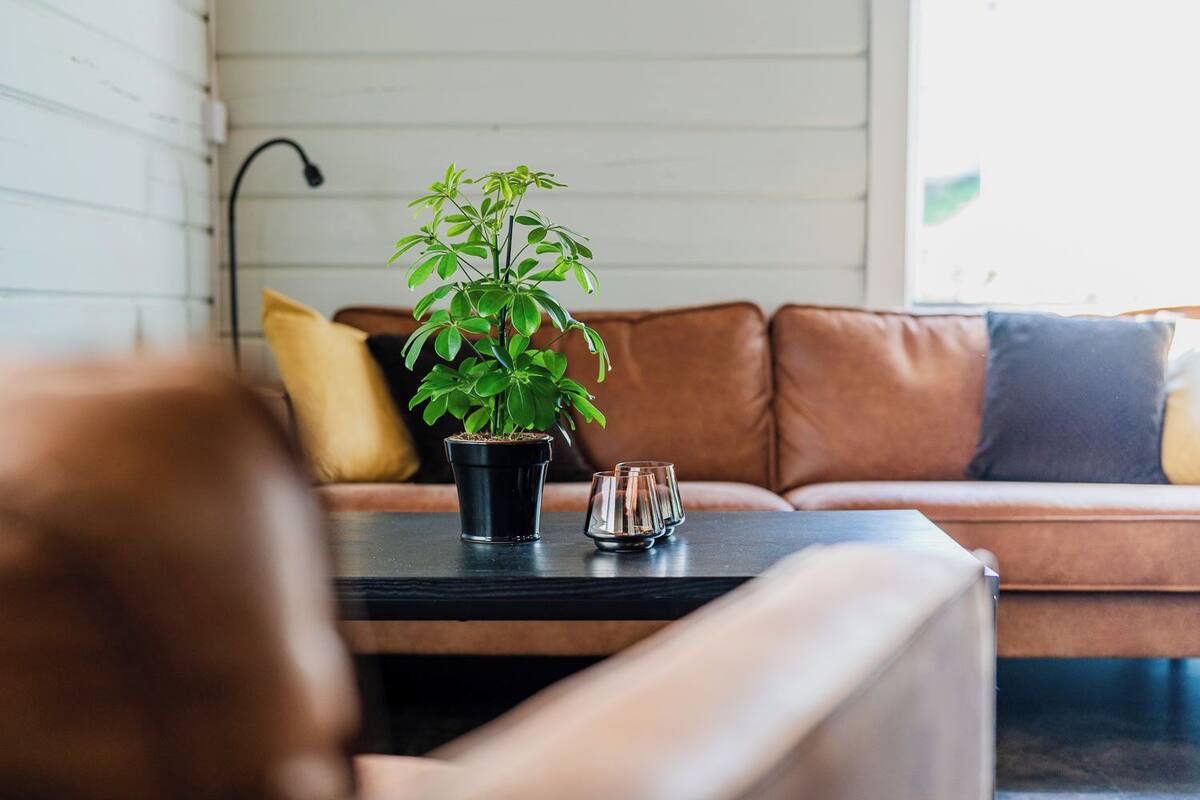 A living room with a brown leather sofa, a black coffee table, a potted plant, and a glass candle holder.