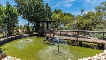 Jardines del alojamiento