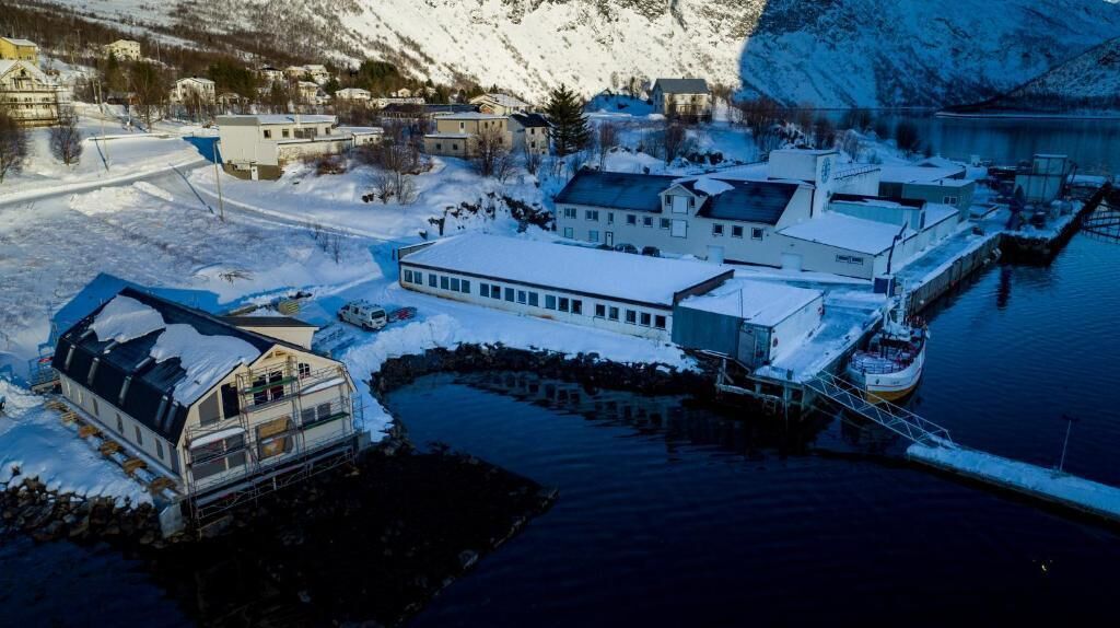 Eksteriør
