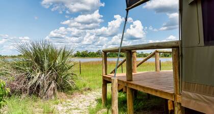 Wonderful tent by the river in the Okavango Delta