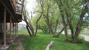 Un jardin avec une terrasse en bois, une pelouse et plusieurs arbres.