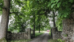 A gravel path leading through a stone gate surrounded by trees. - Fordie South Cottage (Crieff)