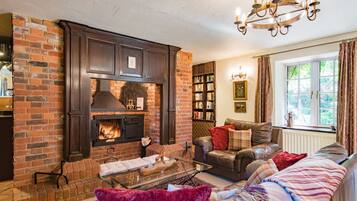 Télévision, cheminée, console de jeux vidéo, Netflix