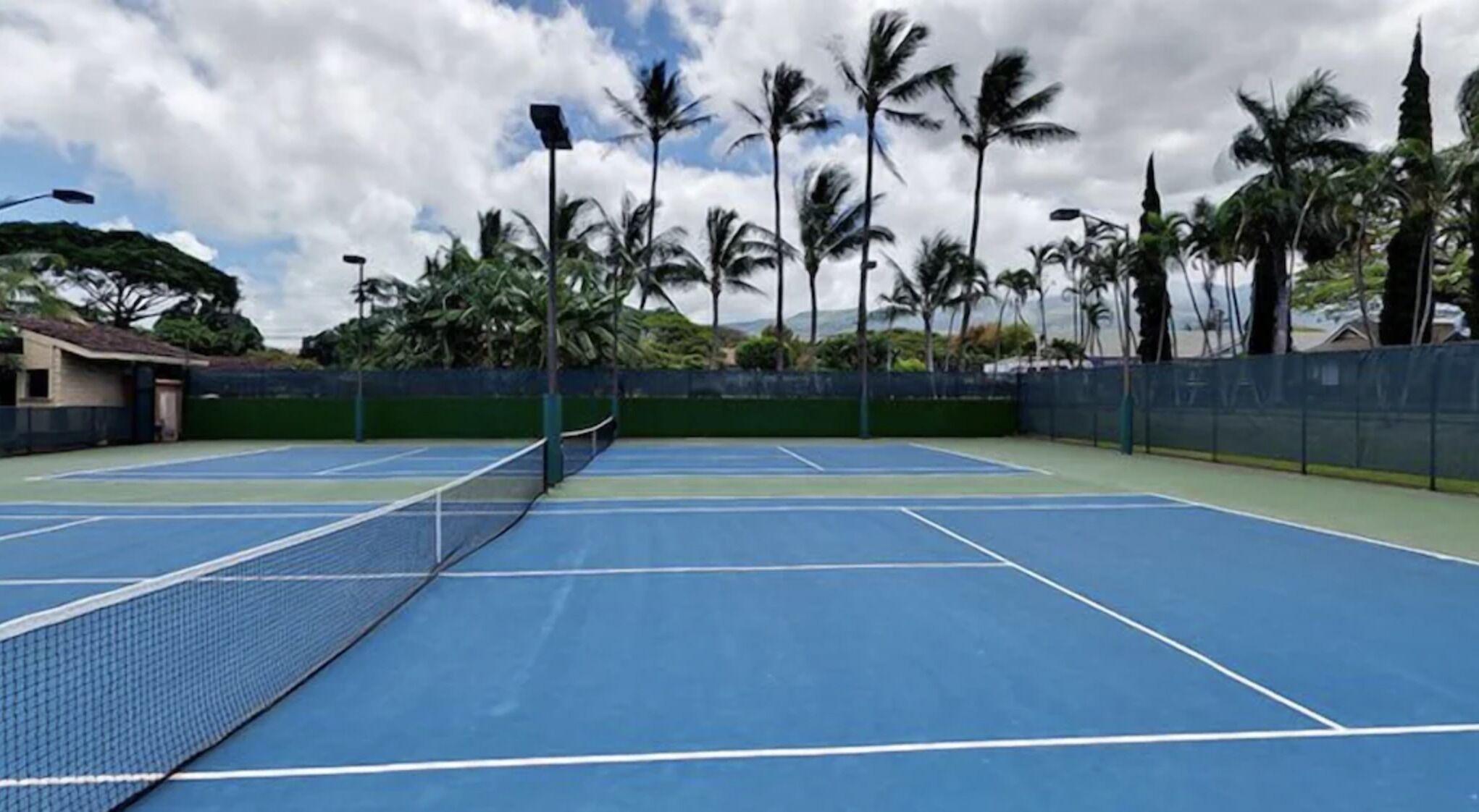 A tennis court with a net, surrounded by palm trees and a blue sky.