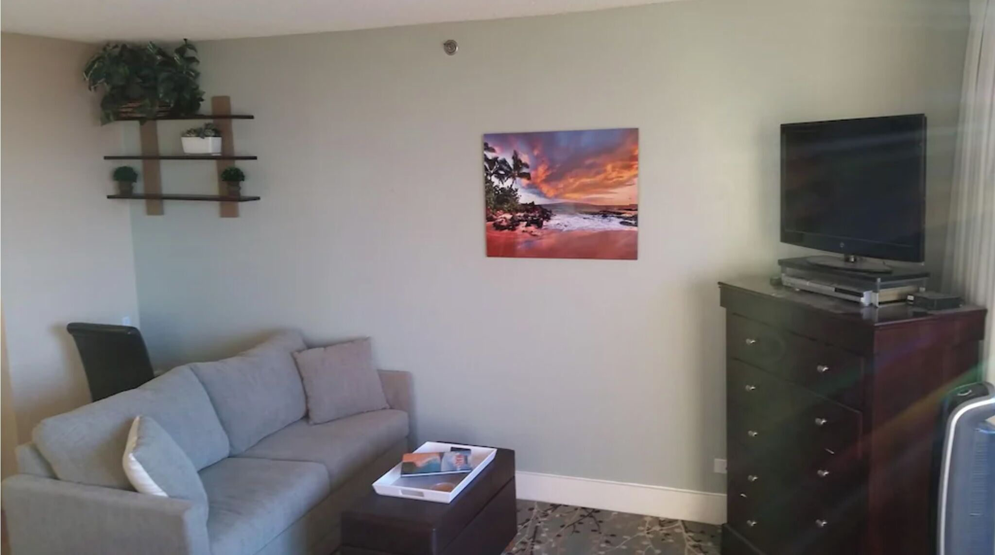Un salón con un sofá gris, un televisor de pantalla plana sobre un mueble de madera, un cuadro de una puesta de sol y una planta en un estante.