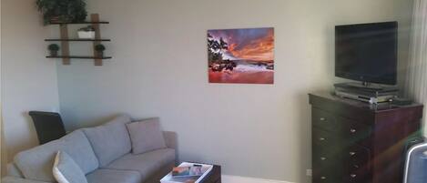 Un salón con un sofá gris, un televisor de pantalla plana sobre un mueble de madera, un cuadro de una puesta de sol y una planta en un estante.