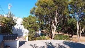 A residential area with a white building, a paved driveway, and trees. - Can Barcelo (Inca)