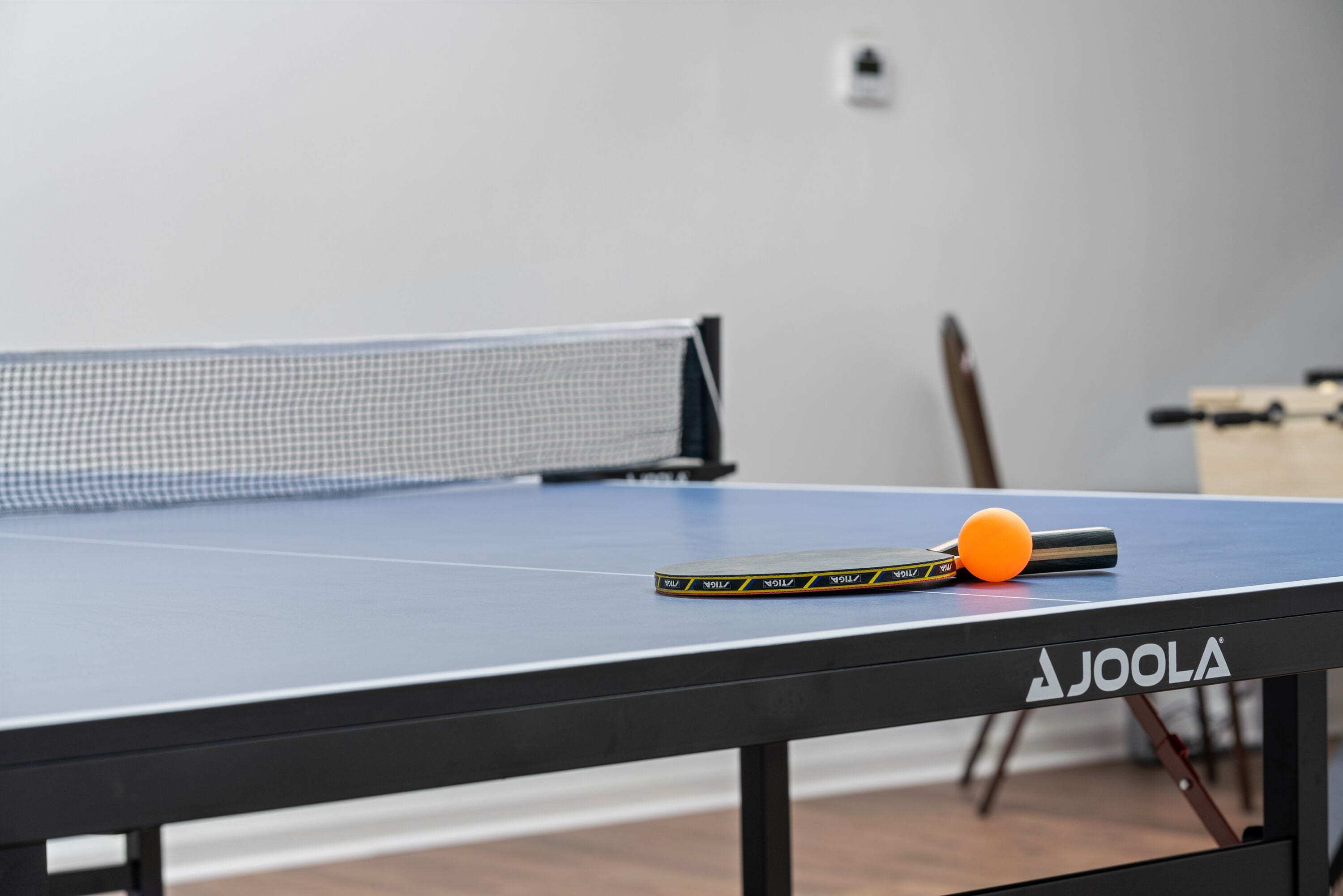 A table tennis table with a net, a paddle, and a ball.
