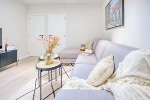 Fernseher, Arbeitsbereiche