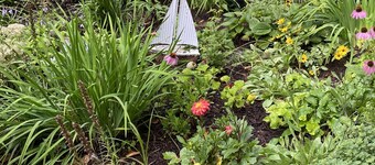 Lake Winnipesaukee Waterfront Home - Private Dock Space Included