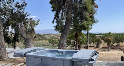Rejuvenate! Remodeled home, 180-view on 4-acres
