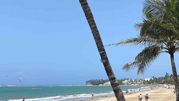 Una playa con palmeras, orilla de arena y cielo azul claro.