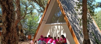 Natura Fun House & Camping