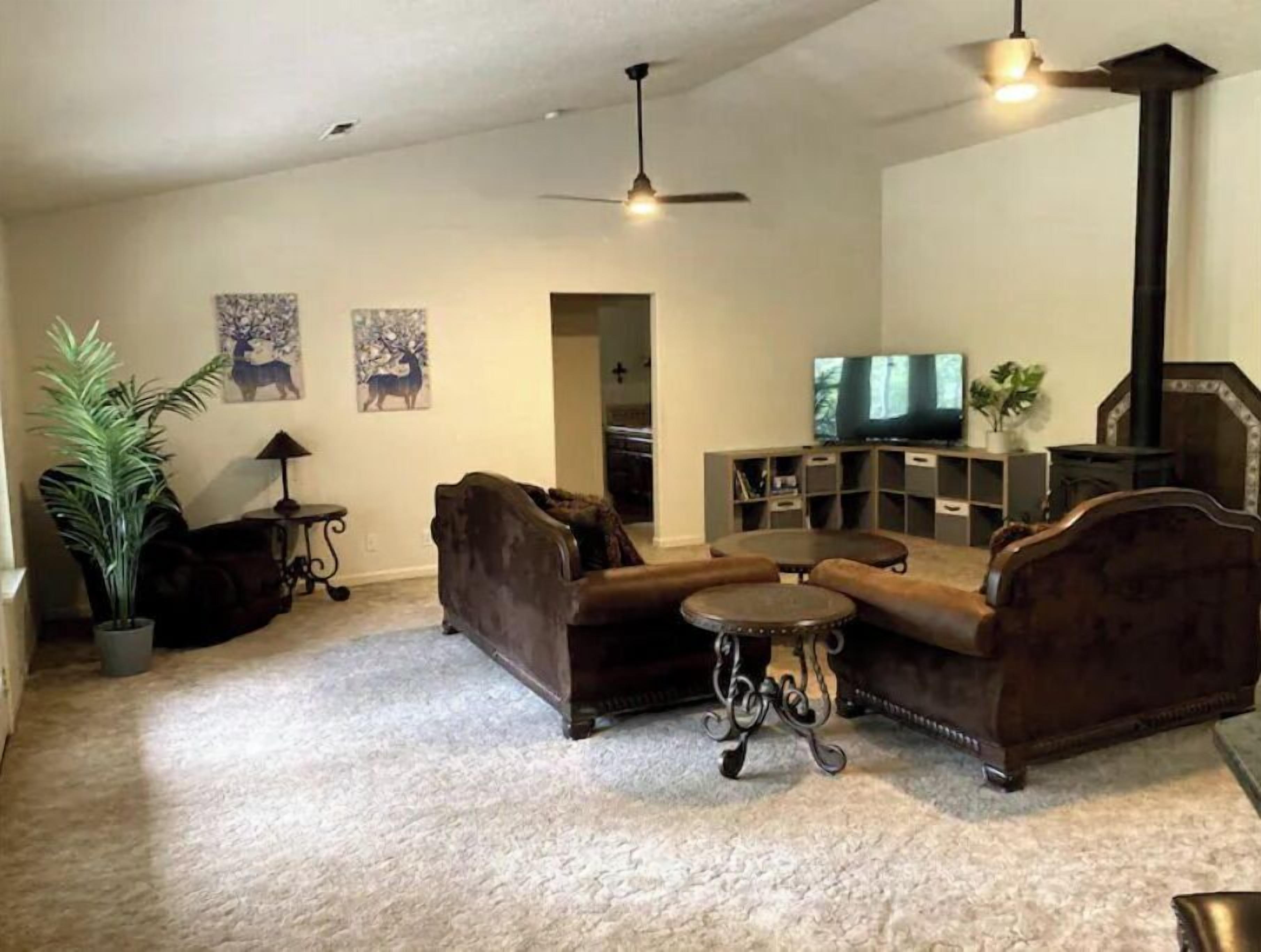 Smart TV, chimenea y libros 