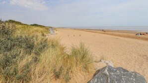 Een zandstrand met duinen en schaarse begroeiing.