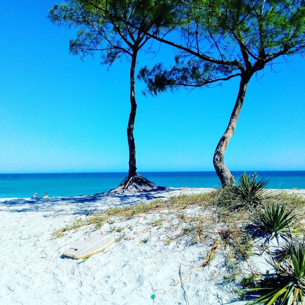 بالقرب من الشاطئ