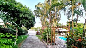 A pathway leading to a pool area surrounded by lush greenery and palm trees. - CHARMING HOUSE WITH POOL 5 MINUTES FROM THE BEACH! (LE GOSIER)