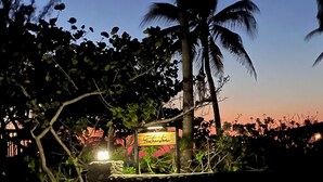 A sign with the text "Feathered Wings" in a tropical setting with palm trees and dense foliage. - Featherstone - Upstairs Beach Front Apartment (Tibbett's Turn)