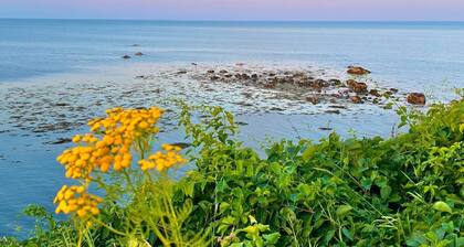 Stunning seaside loft, walk to beach, romantic getaway for 2 + pet