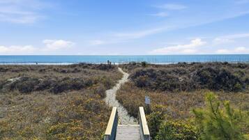 En la playa y camastros
