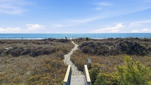 Plage, chaises longues