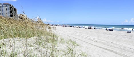 On the beach