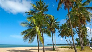 A beach with palm trees and a clear blue sky.
