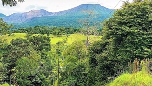 Un paisaje verde exuberante con una montaña al fondo.