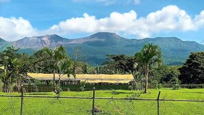 Ein von einer Hecke umgebenes Anwesen mit einem Gebäude mit gelbem Dach, saftig grünen Feldern und einem Berg im Hintergrund.