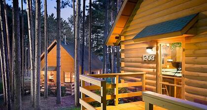 Wisconsin Dells Cottage for Family Fun or Golf at Christmas Mountian
