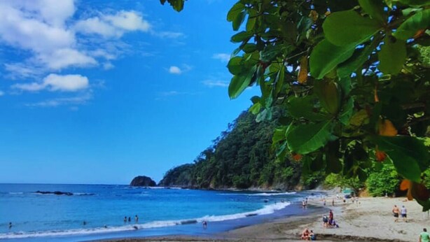 A beach with clear blue water, people swimming and sunbathing, and lush greenery in the background.