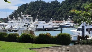 A marina with several yachts docked, surrounded by lush greenery and hills in the background.