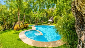 A swimming pool surrounded by lush greenery and trees.