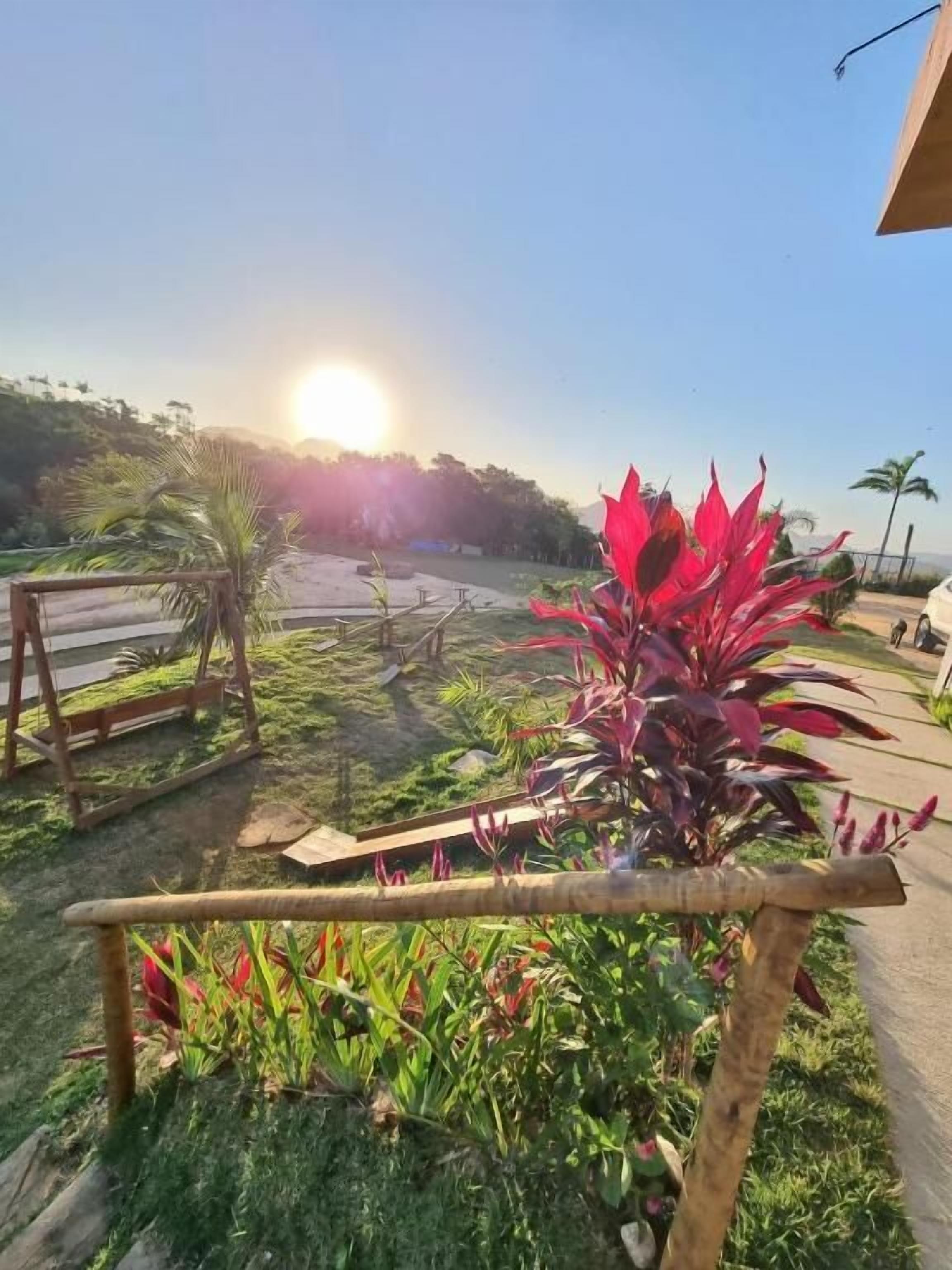 A garden with a wooden swing set, a red plant, and a pathway.
