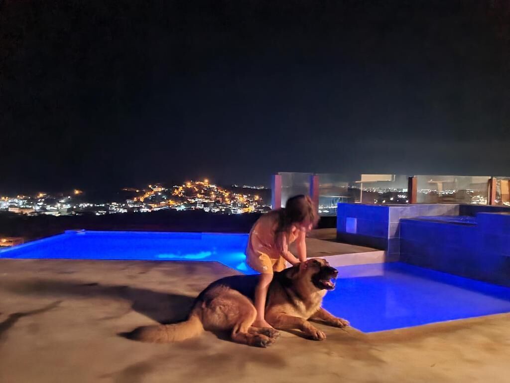Nattebillede med en person og en hund ved en pool på taget, med bybelysning i baggrunden.