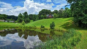 Property grounds - Pines Lodge - Private Pond-Walk in Tub (Hayesville)