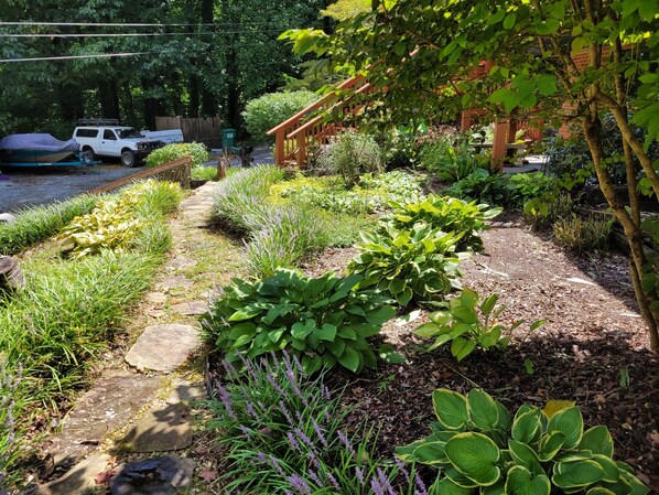 Un sentier de jardin agrémenté de différentes plantes et agrémenté d’une structure en bois.