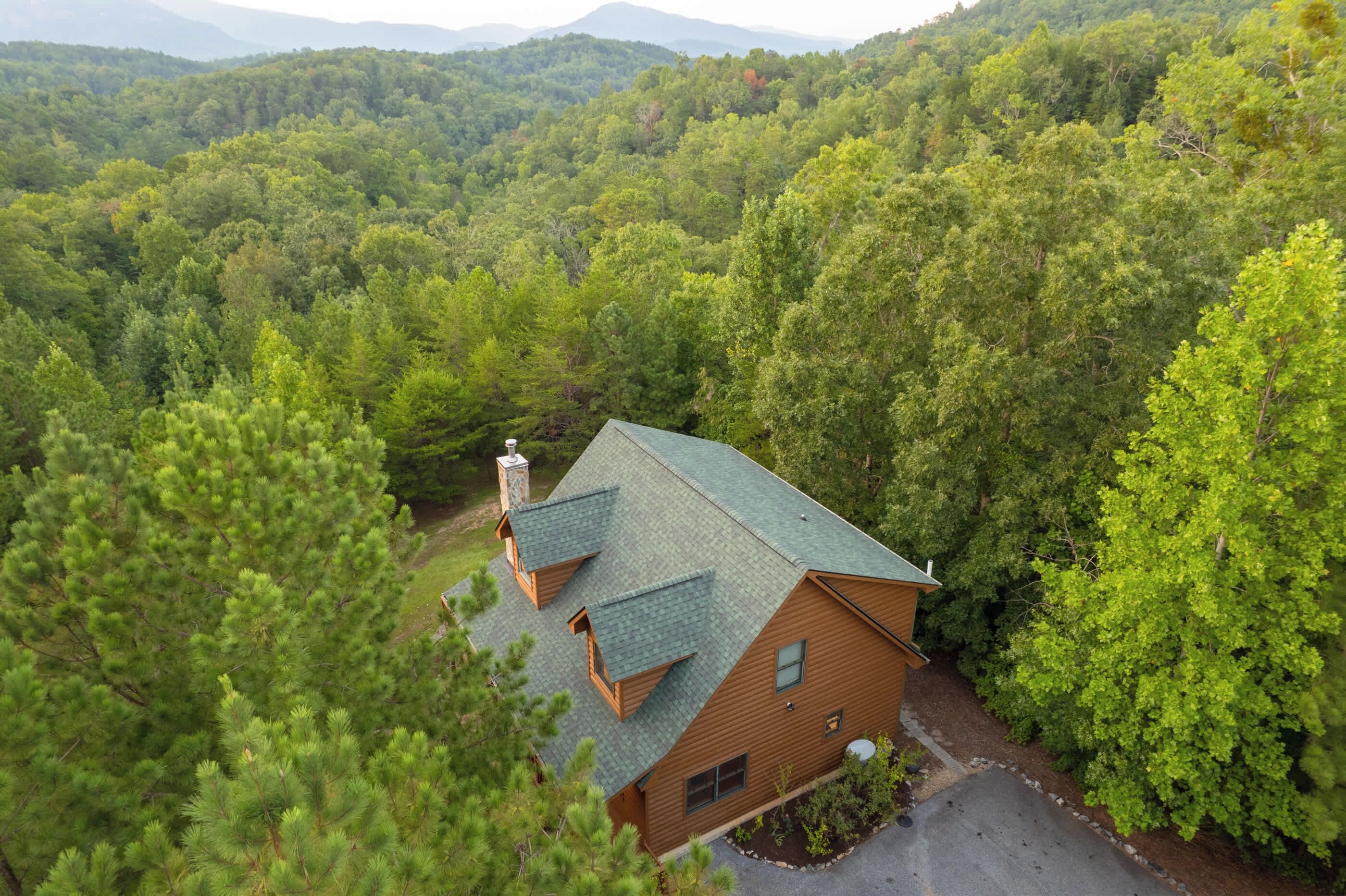 A cabin with a sloped roof, surrounded by dense forest, with a clear view of the mountains in the background.
