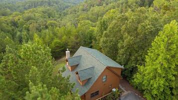 A cabin with a sloped roof, surrounded by dense forest, with a clear view of the mountains in the background.